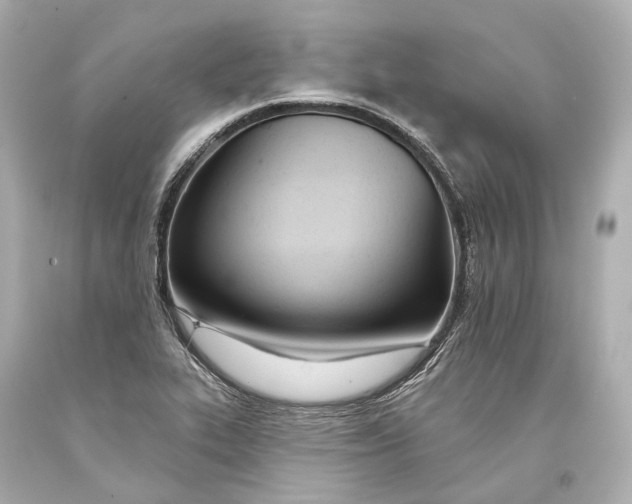 X0000093361319200711011159