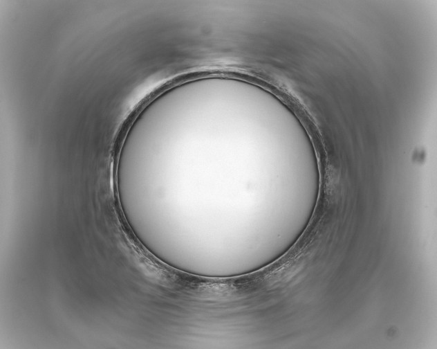 X0000093361320200711011159