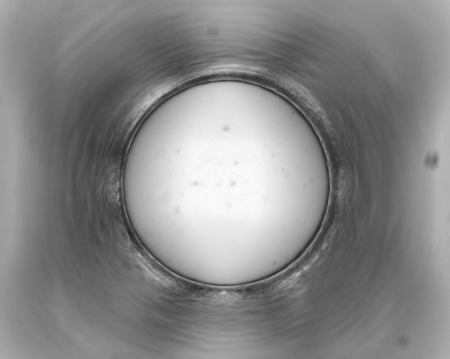 X0000093361321200711011159