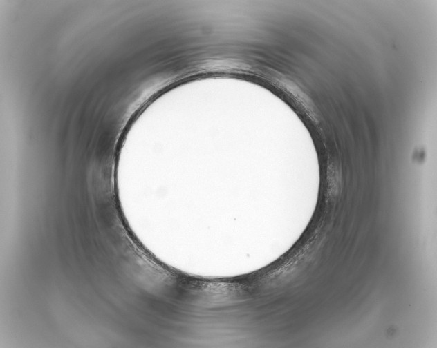 X0000093361322200711011159