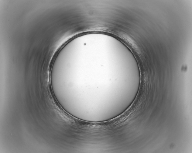 X0000093361324200711011159