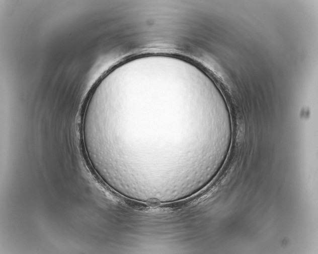 X0000093361325200711011159