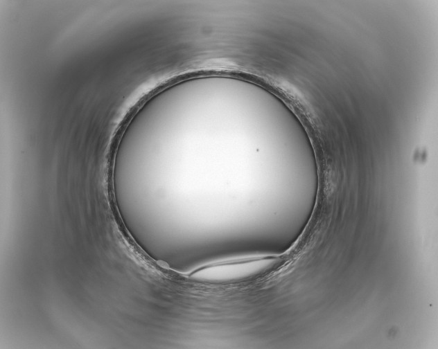 X0000093361326200711011159