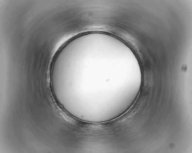 X0000093361328200711011159