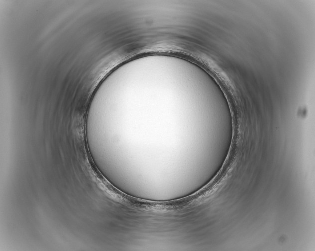 X0000093361329200711011159