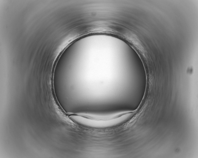 X0000093361330200711011159