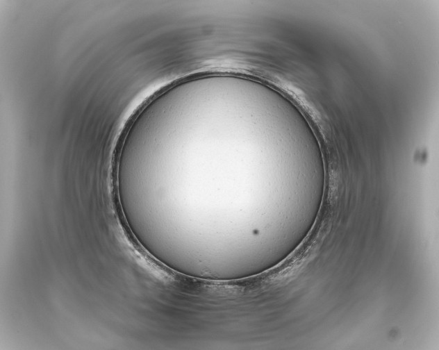 X0000093361331200711011159