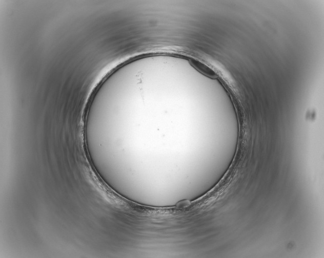 X0000093361332200711011159