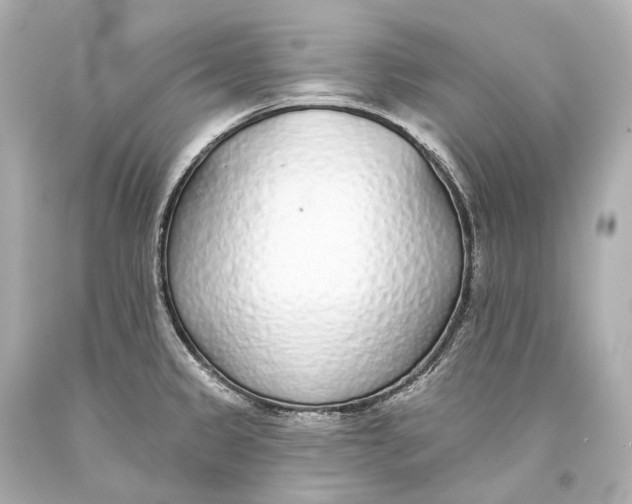 X0000093361333200711011159