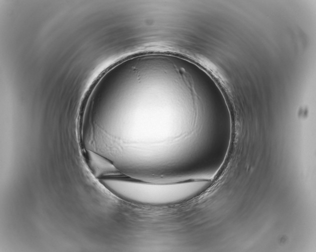 X0000093361334200711011159