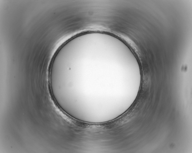 X0000093361335200711011159