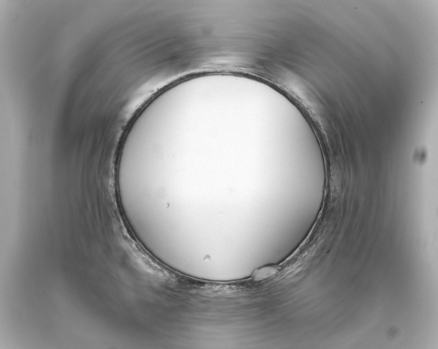 X0000093361336200711011159