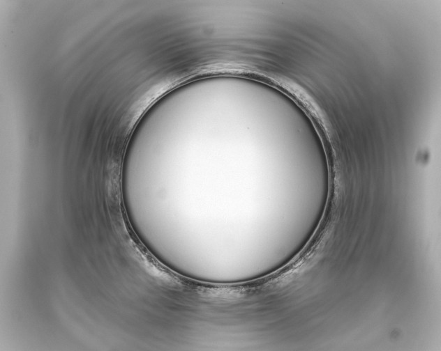 X0000093361337200711011159