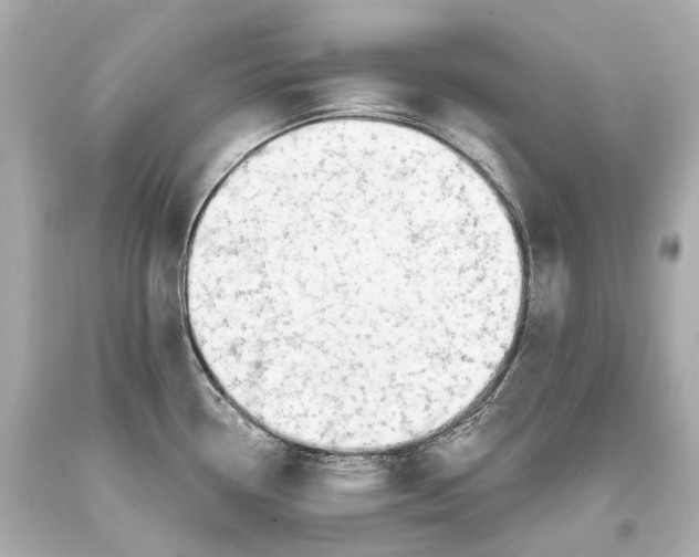 X0000093361338200711011159