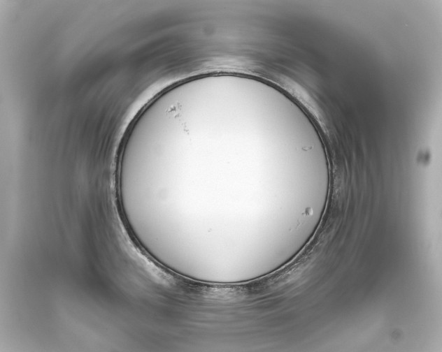 X0000093361339200711011159