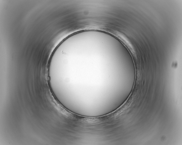 X0000093361340200711011159