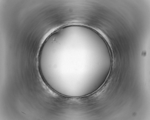 X0000093361341200711011159