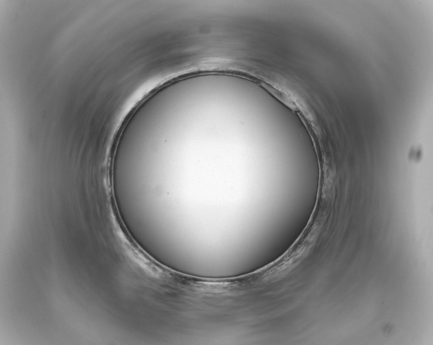 X0000093361342200711011159