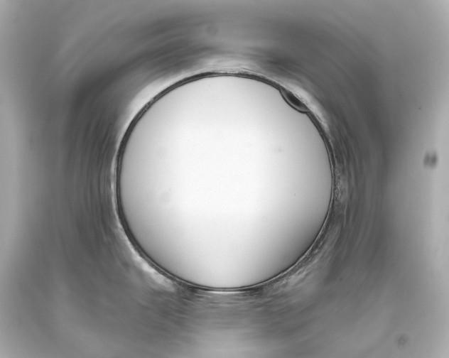 X0000093361343200711011159