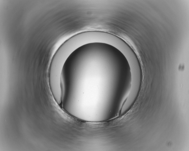 X0000093361344200711011159