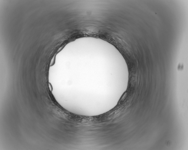 X0000093361345200711011159