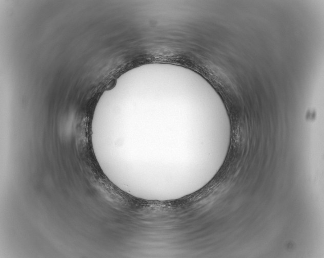 X0000093361346200711011159