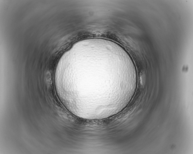 X0000093361347200711011159