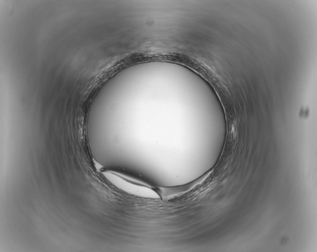 X0000093361348200711011159