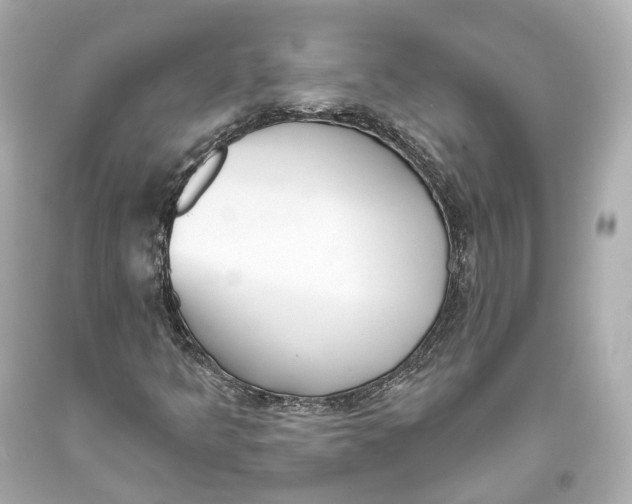 X0000093361349200711011158