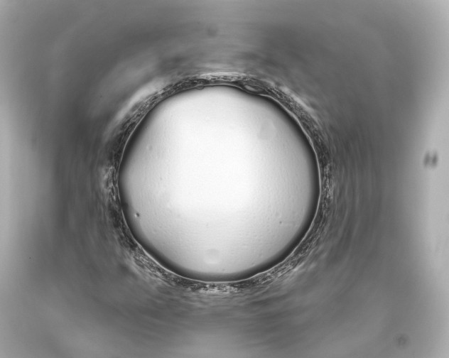 X0000093361351200711011158