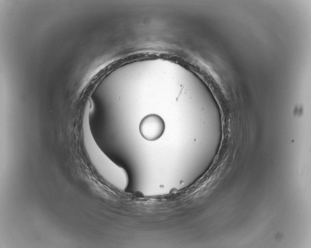 X0000093361352200711011158