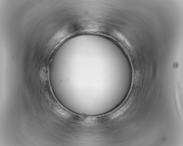 X0000093361353200711011158