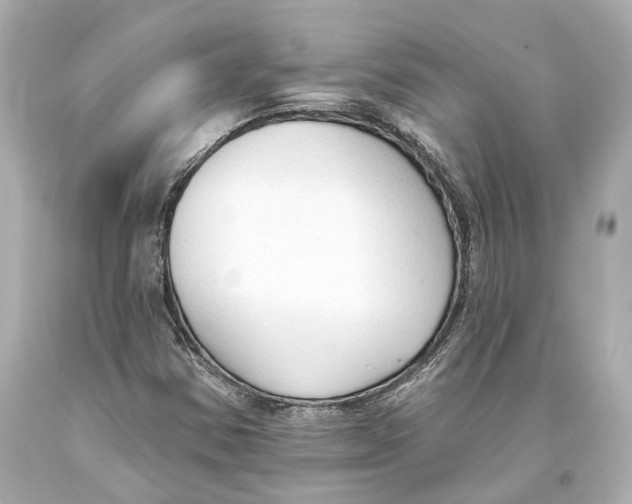 X0000093361354200711011158