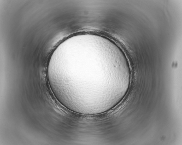 X0000093361355200711011158