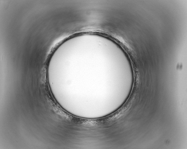 X0000093361358200711011158