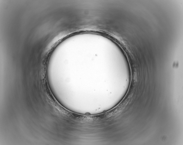 X0000093361359200711011158