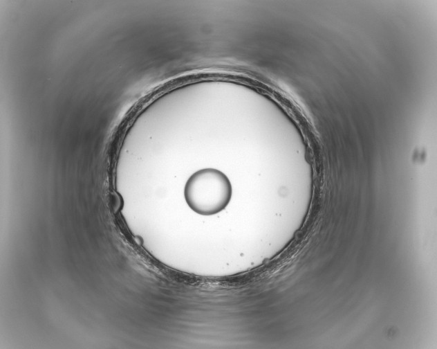 X0000093361360200711011158