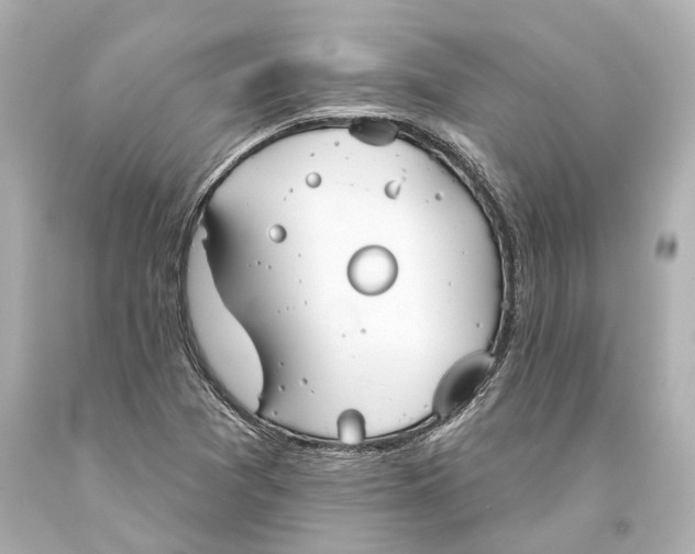 X0000093361361200711011158