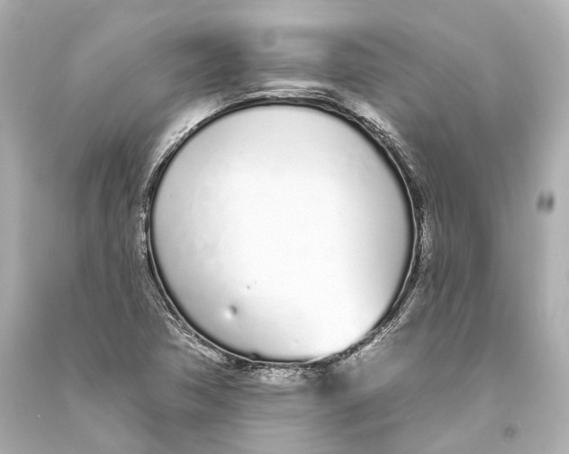 X0000093361362200711011158