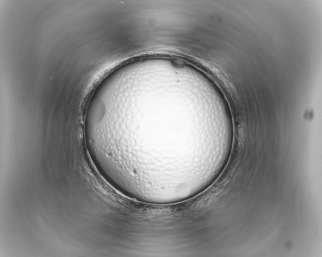 X0000093361363200711011158