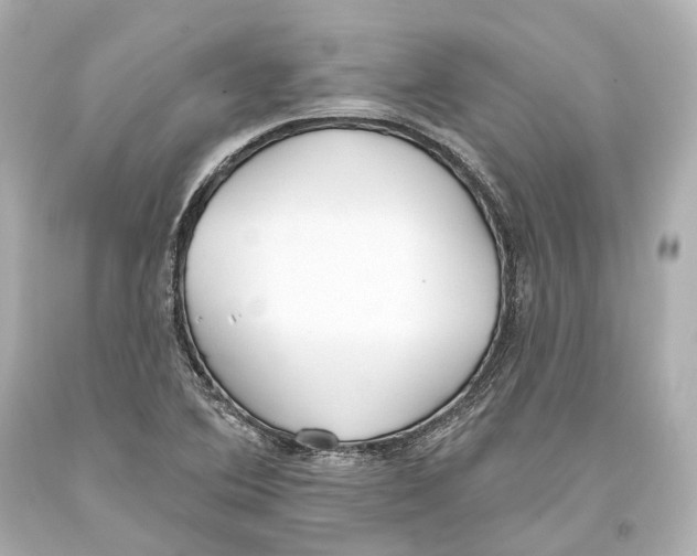 X0000093361364200711011158