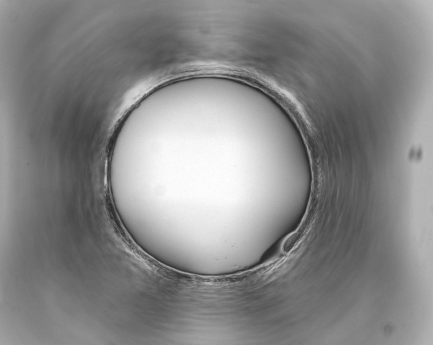 X0000093361365200711011158