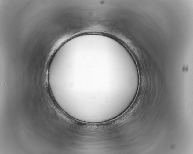 X0000093361366200711011158