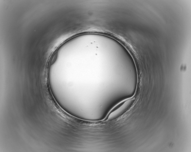 X0000093361367200711011158