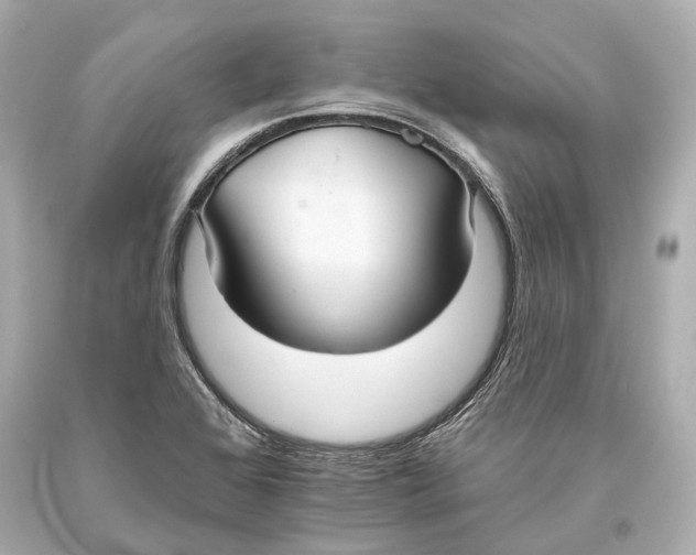 X0000093361368200711011158