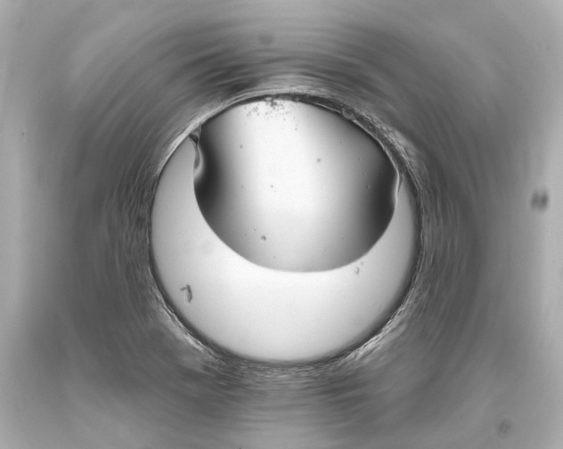 X0000093361369200711011158