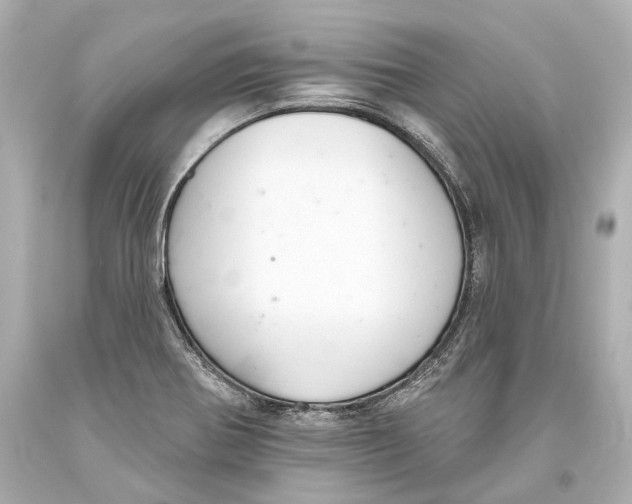 X0000093361370200711011158