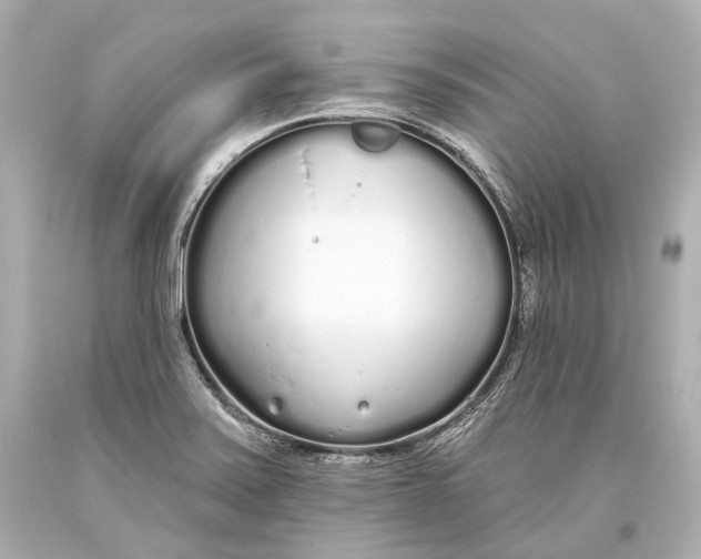 X0000093361371200711011158