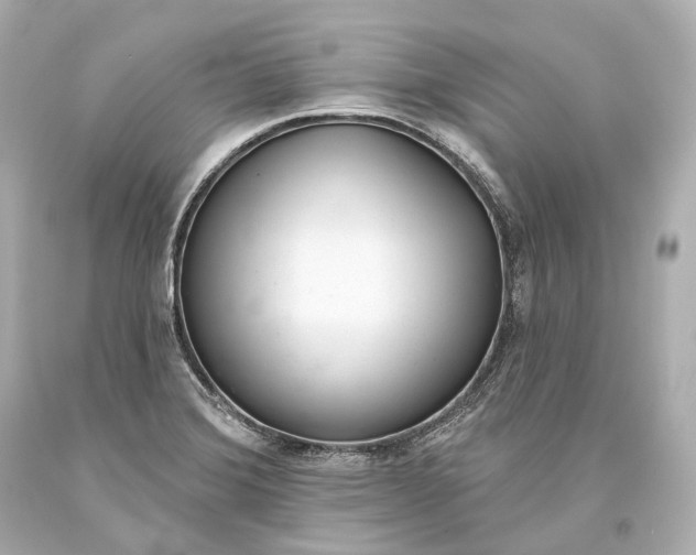 X0000093361372200711011158