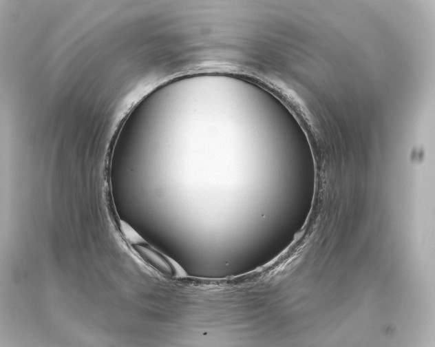 X0000093361373200711011158